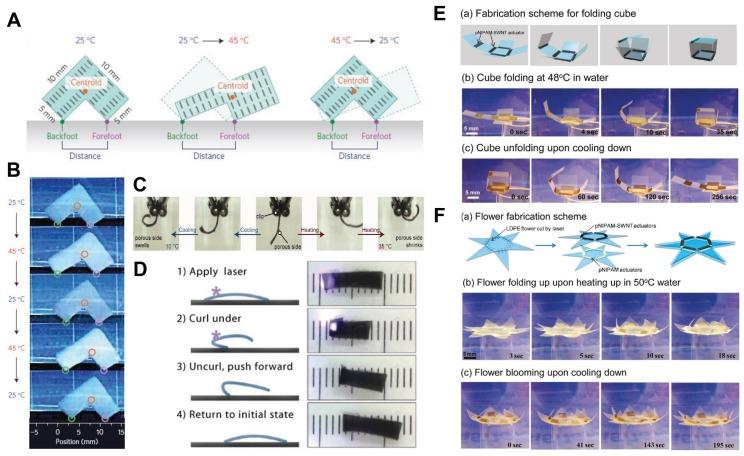 https://cdn.ncbi.nlm.nih.gov/pmc/blobs/0669/6352708/574fd70c355c/biomimetics-03-00015-g002.jpg