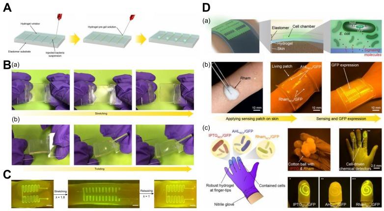 https://cdn.ncbi.nlm.nih.gov/pmc/blobs/0669/6352708/9c8dc1936da4/biomimetics-03-00015-g009.jpg
