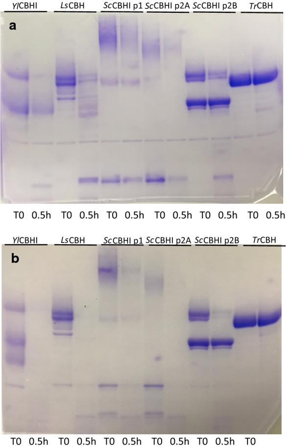 https://cdn.ncbi.nlm.nih.gov/pmc/blobs/0669/7789491/16c6d1bb3193/13068_2020_1856_Fig3_HTML.jpg