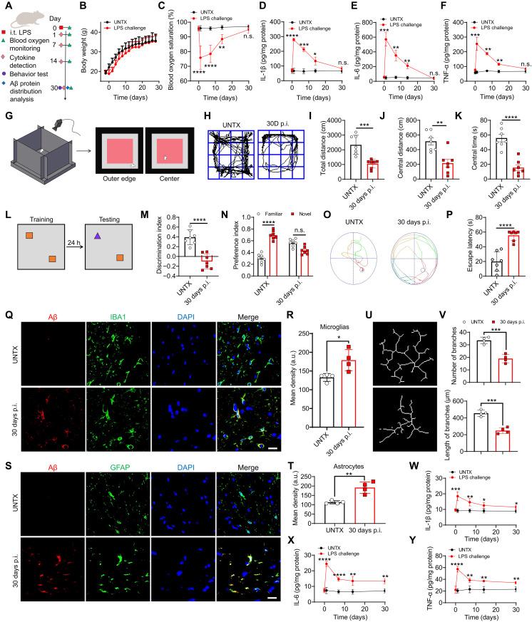 https://cdn.ncbi.nlm.nih.gov/pmc/blobs/066a/10584344/05405ca820c2/sciadv.adi0699-f1.jpg