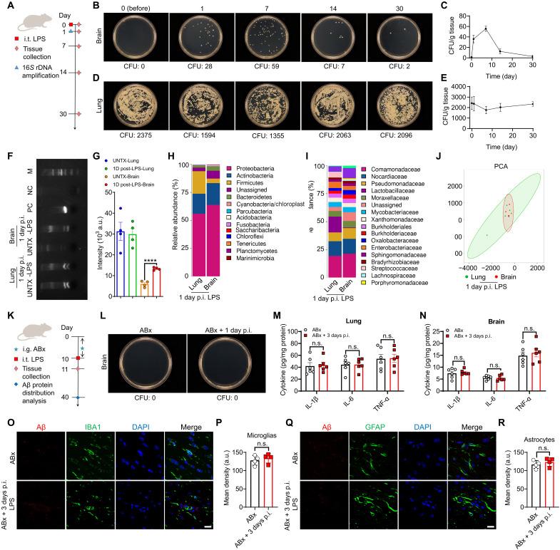 https://cdn.ncbi.nlm.nih.gov/pmc/blobs/066a/10584344/3fda5aa0359a/sciadv.adi0699-f2.jpg