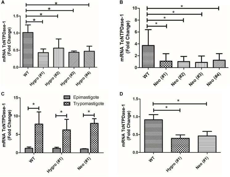 https://cdn.ncbi.nlm.nih.gov/pmc/blobs/066a/7094052/178847a845f1/fmicb-11-00434-g002.jpg