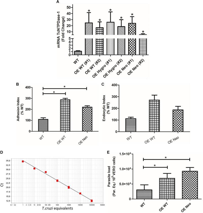 https://cdn.ncbi.nlm.nih.gov/pmc/blobs/066a/7094052/c9388d1ed85d/fmicb-11-00434-g007.jpg