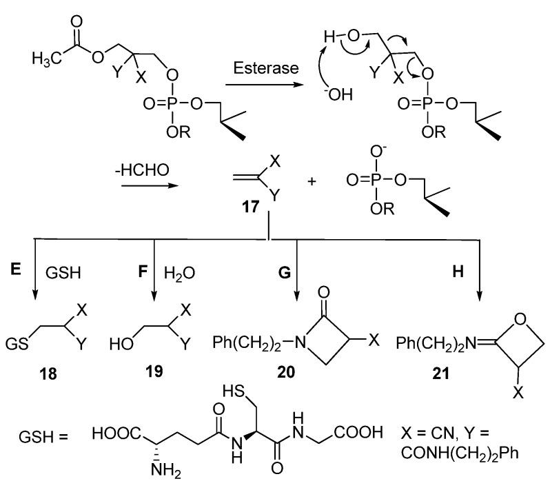 https://cdn.ncbi.nlm.nih.gov/pmc/blobs/066b/6259260/2384c21cf503/molecules-16-00552-g006.jpg