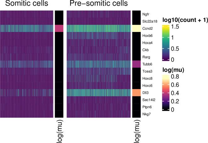 https://cdn.ncbi.nlm.nih.gov/pmc/blobs/066c/11309568/73911a514982/f1000research-11-162017-g0009.jpg