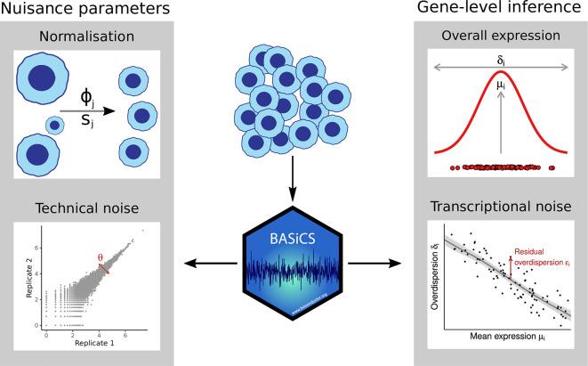 https://cdn.ncbi.nlm.nih.gov/pmc/blobs/066c/11309568/765a4790a3d6/f1000research-11-162017-g0000.jpg