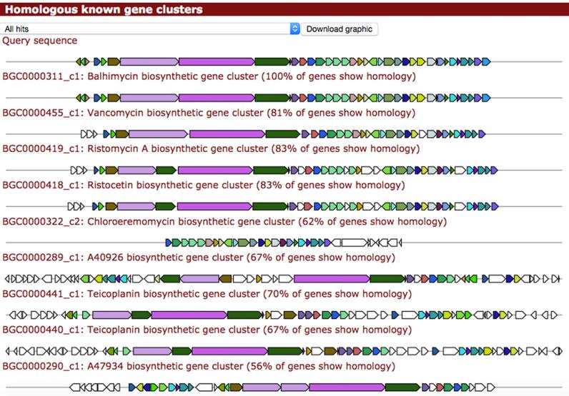 https://cdn.ncbi.nlm.nih.gov/pmc/blobs/066c/4489286/49fbf0e5c776/gkv437fig1.jpg