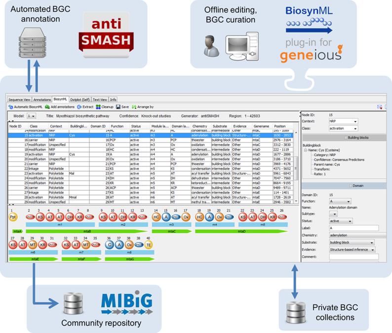 https://cdn.ncbi.nlm.nih.gov/pmc/blobs/066c/4489286/b2de5cc0e2b8/gkv437fig2.jpg