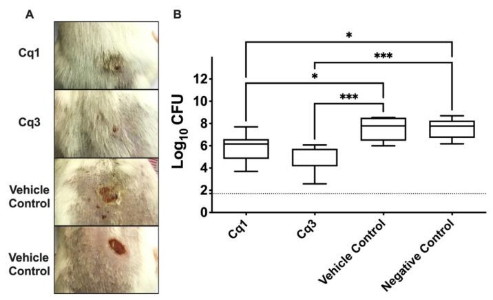 https://cdn.ncbi.nlm.nih.gov/pmc/blobs/066c/8300726/cfcca81fa5ad/antibiotics-10-00811-g003.jpg