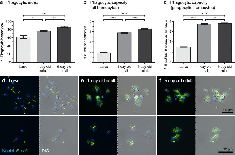 https://cdn.ncbi.nlm.nih.gov/pmc/blobs/066e/5539753/ca72e1ae4762/13071_2017_2302_Fig4_HTML.jpg