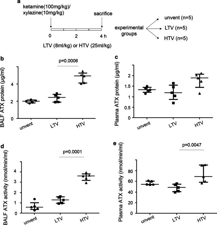 https://cdn.ncbi.nlm.nih.gov/pmc/blobs/066e/8005383/291cf7e31b85/40635_2021_379_Fig1_HTML.jpg