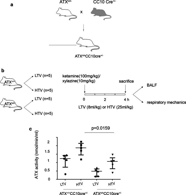 https://cdn.ncbi.nlm.nih.gov/pmc/blobs/066e/8005383/70cff9211a25/40635_2021_379_Fig2_HTML.jpg
