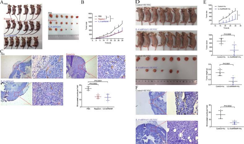 https://cdn.ncbi.nlm.nih.gov/pmc/blobs/066e/8975946/19f4c53cb675/41419_2022_4734_Fig6_HTML.jpg