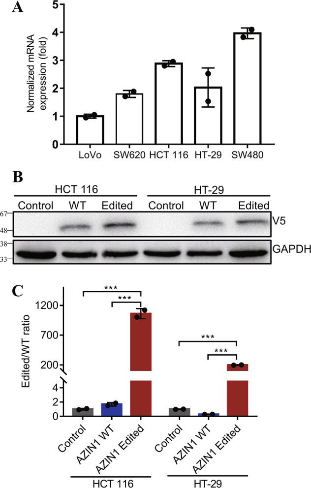 https://cdn.ncbi.nlm.nih.gov/pmc/blobs/066e/8975946/1fa983e39157/41419_2022_4734_Fig1_HTML.jpg