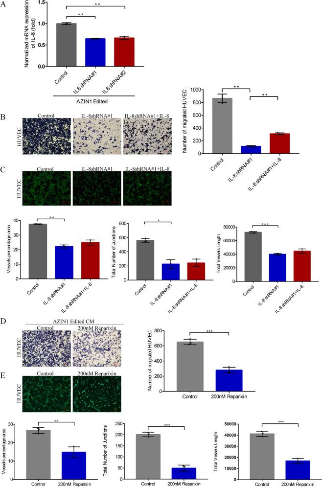https://cdn.ncbi.nlm.nih.gov/pmc/blobs/066e/8975946/2bd5de022265/41419_2022_4734_Fig5_HTML.jpg
