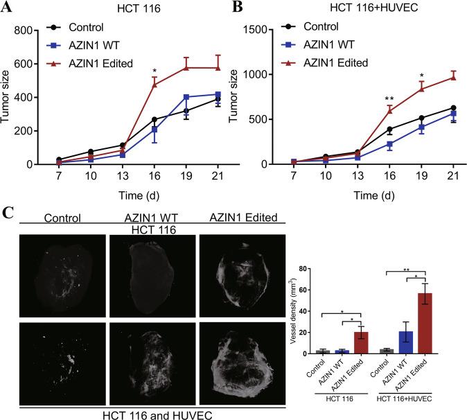 https://cdn.ncbi.nlm.nih.gov/pmc/blobs/066e/8975946/9a11c2ec39ee/41419_2022_4734_Fig3_HTML.jpg