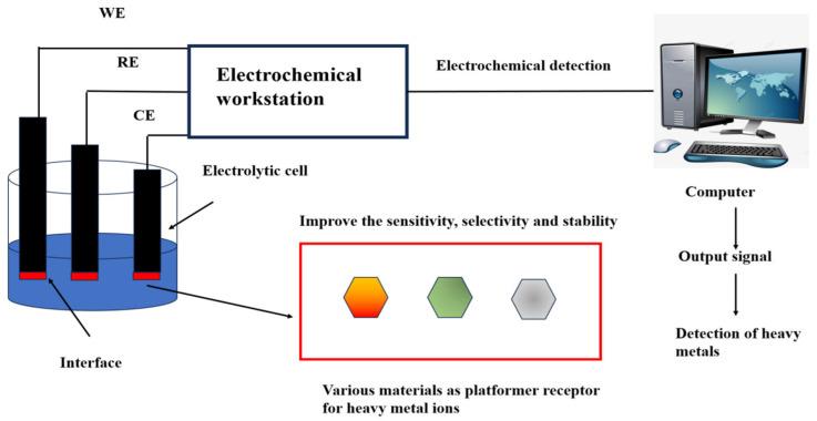https://cdn.ncbi.nlm.nih.gov/pmc/blobs/066f/12109826/ebcf313fc7d5/biosensors-15-00275-g001.jpg