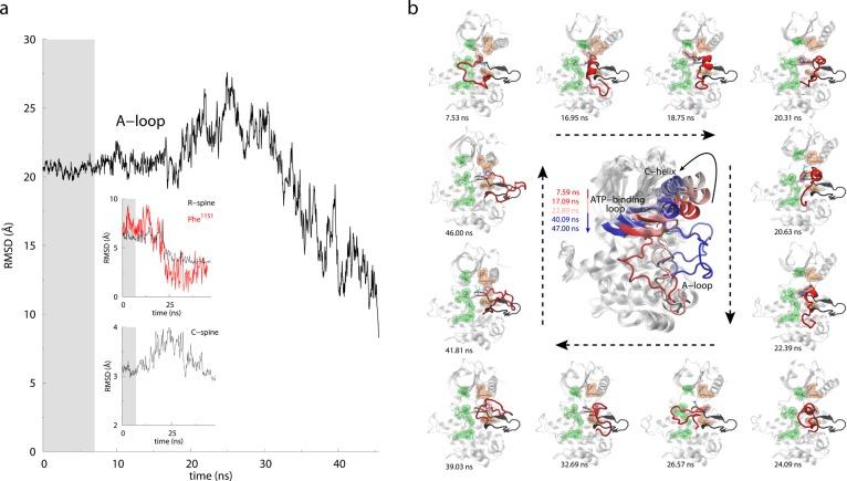 https://cdn.ncbi.nlm.nih.gov/pmc/blobs/0670/3983124/323bd10bd426/cr-2013-005988_0005.jpg