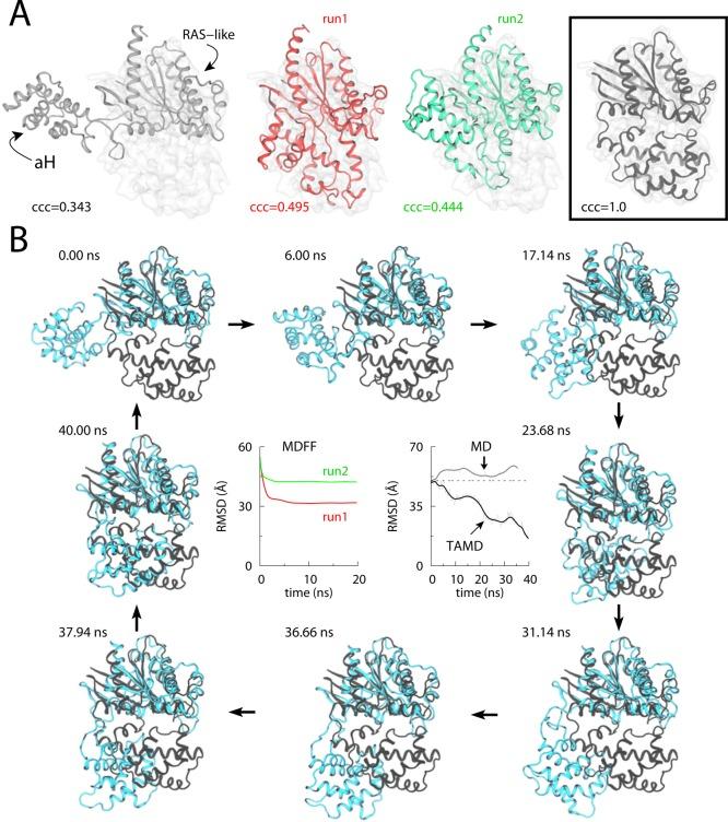 https://cdn.ncbi.nlm.nih.gov/pmc/blobs/0670/3983124/3c62eddc3c97/cr-2013-005988_0009.jpg