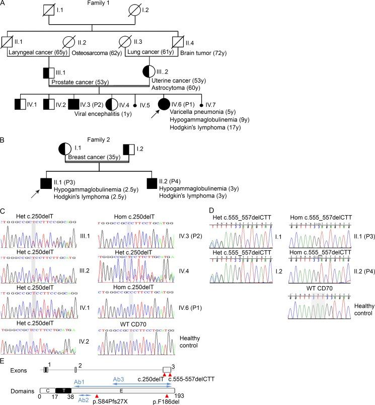 https://cdn.ncbi.nlm.nih.gov/pmc/blobs/0671/5206499/ee319ad90489/JEM_20160849_Fig1.jpg