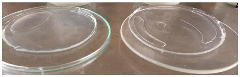 https://cdn.ncbi.nlm.nih.gov/pmc/blobs/0671/8309246/ea618116beaa/polymers-13-02223-g002.jpg