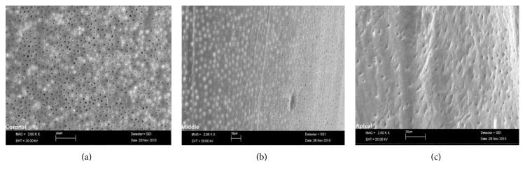 https://cdn.ncbi.nlm.nih.gov/pmc/blobs/0678/4897484/1f741ede2995/ISRN2014-289164.001.jpg