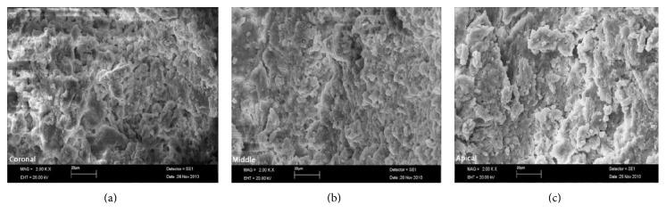 https://cdn.ncbi.nlm.nih.gov/pmc/blobs/0678/4897484/feeead0094ab/ISRN2014-289164.003.jpg