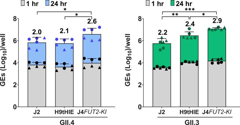 https://cdn.ncbi.nlm.nih.gov/pmc/blobs/0679/11580437/eacd09737c16/msphere.00448-24.f002.jpg