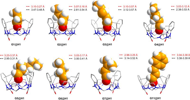 https://cdn.ncbi.nlm.nih.gov/pmc/blobs/067a/11300454/6c092ca1d752/41467_2024_50980_Fig5_HTML.jpg