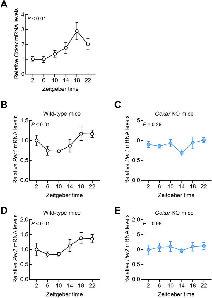 https://cdn.ncbi.nlm.nih.gov/pmc/blobs/067a/11341299/0aa713813a76/gr1.jpg