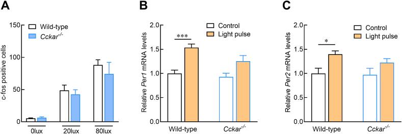 https://cdn.ncbi.nlm.nih.gov/pmc/blobs/067a/11341299/48959a857359/gr2.jpg