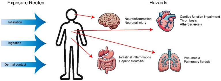 https://cdn.ncbi.nlm.nih.gov/pmc/blobs/067b/12213550/68cdad9b8af4/fpubh-13-1567200-g005.jpg