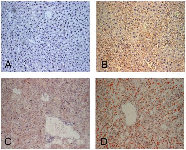 https://cdn.ncbi.nlm.nih.gov/pmc/blobs/067d/2287171/b1a9e3c2c459/1471-2164-9-109-1.jpg