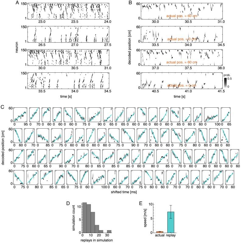 https://cdn.ncbi.nlm.nih.gov/pmc/blobs/067d/6901334/c4176b2b2d81/elife-46351-fig8-figsupp1.jpg