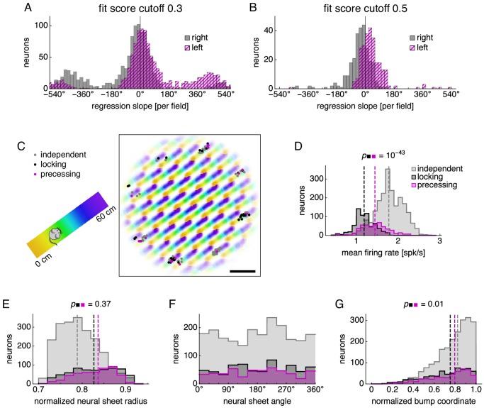 https://cdn.ncbi.nlm.nih.gov/pmc/blobs/067d/6901334/e3dee55a2217/elife-46351-fig3-figsupp4.jpg
