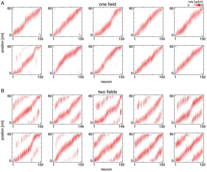 https://cdn.ncbi.nlm.nih.gov/pmc/blobs/067d/6901334/fc84f1641269/elife-46351-fig2-figsupp1.jpg