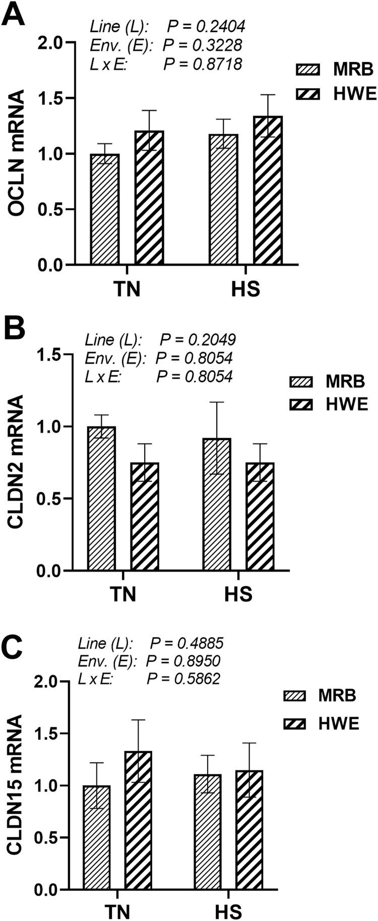 https://cdn.ncbi.nlm.nih.gov/pmc/blobs/067f/11647239/2980fe3f50c2/gr10.jpg