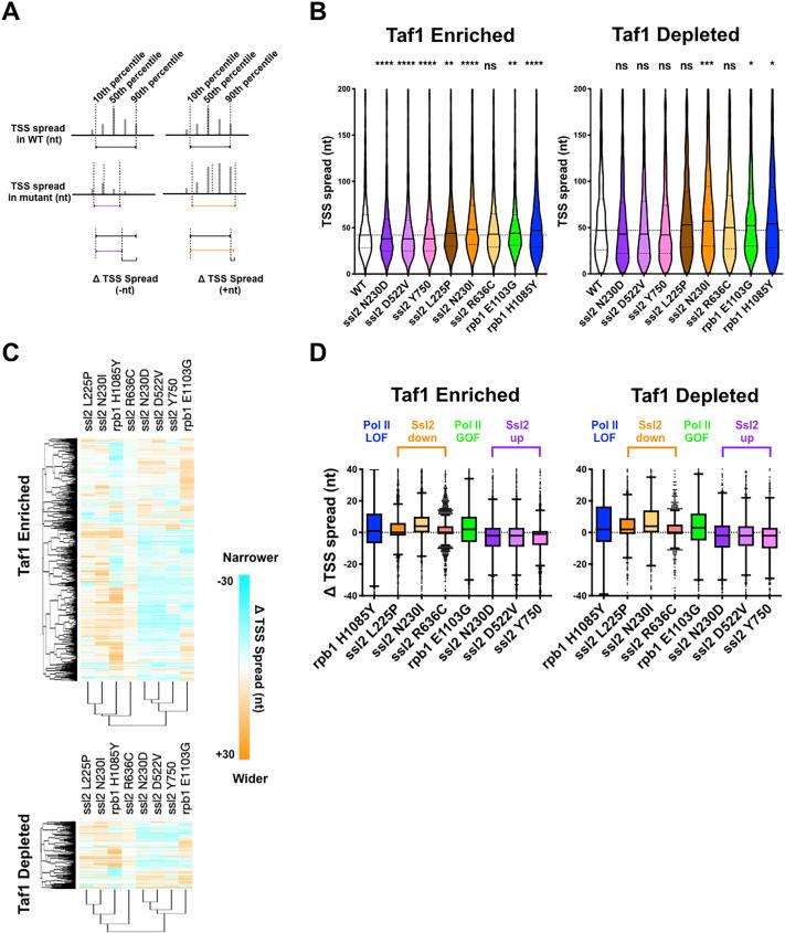 https://cdn.ncbi.nlm.nih.gov/pmc/blobs/067f/8589449/7c6eff6f8311/elife-71013-fig5.jpg