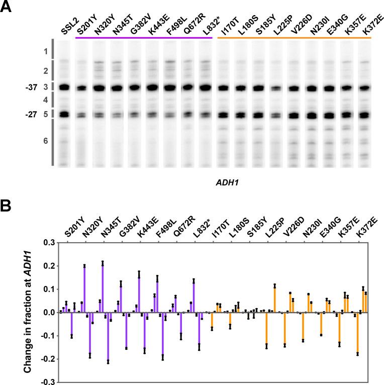 https://cdn.ncbi.nlm.nih.gov/pmc/blobs/067f/8589449/bcd0c4650a9c/elife-71013-fig2-figsupp2.jpg