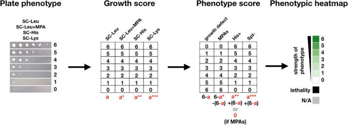 https://cdn.ncbi.nlm.nih.gov/pmc/blobs/067f/8589449/da63d6691149/elife-71013-fig6-figsupp2.jpg