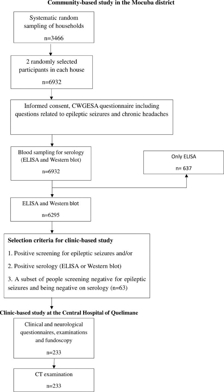 https://cdn.ncbi.nlm.nih.gov/pmc/blobs/0680/12119002/7142bfc873d8/pntd.0013083.g002.jpg