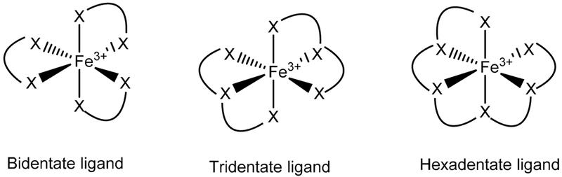 https://cdn.ncbi.nlm.nih.gov/pmc/blobs/0681/8078164/9c0f29c9aee1/nihms-1065783-f0008.jpg