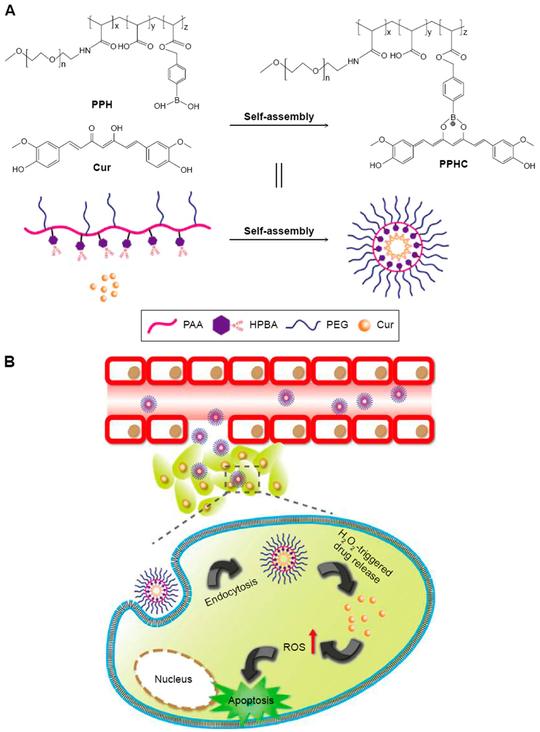 https://cdn.ncbi.nlm.nih.gov/pmc/blobs/0681/8078164/cffda459f25b/nihms-1065783-f0006.jpg