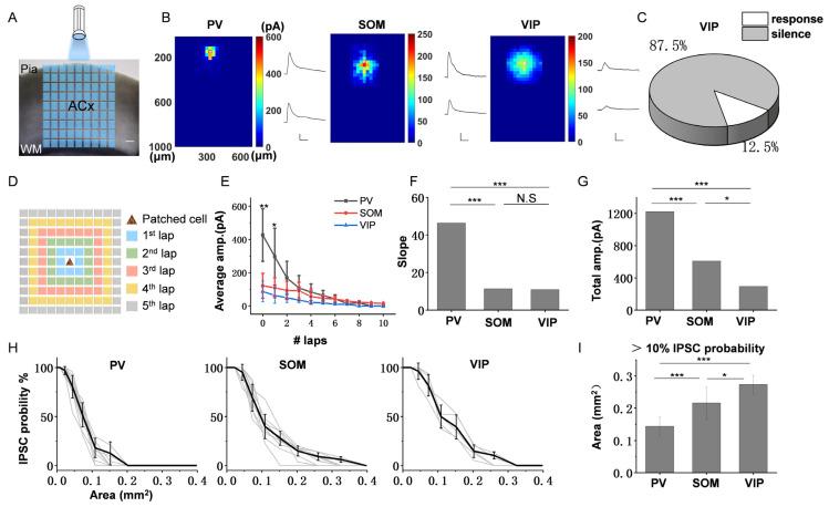 https://cdn.ncbi.nlm.nih.gov/pmc/blobs/0682/10215958/427be5718ab1/bioengineering-10-00547-g002.jpg