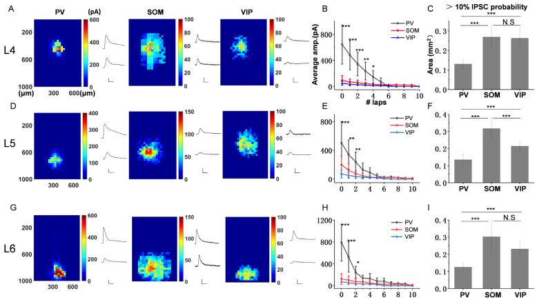 https://cdn.ncbi.nlm.nih.gov/pmc/blobs/0682/10215958/bf68634fba38/bioengineering-10-00547-g003.jpg