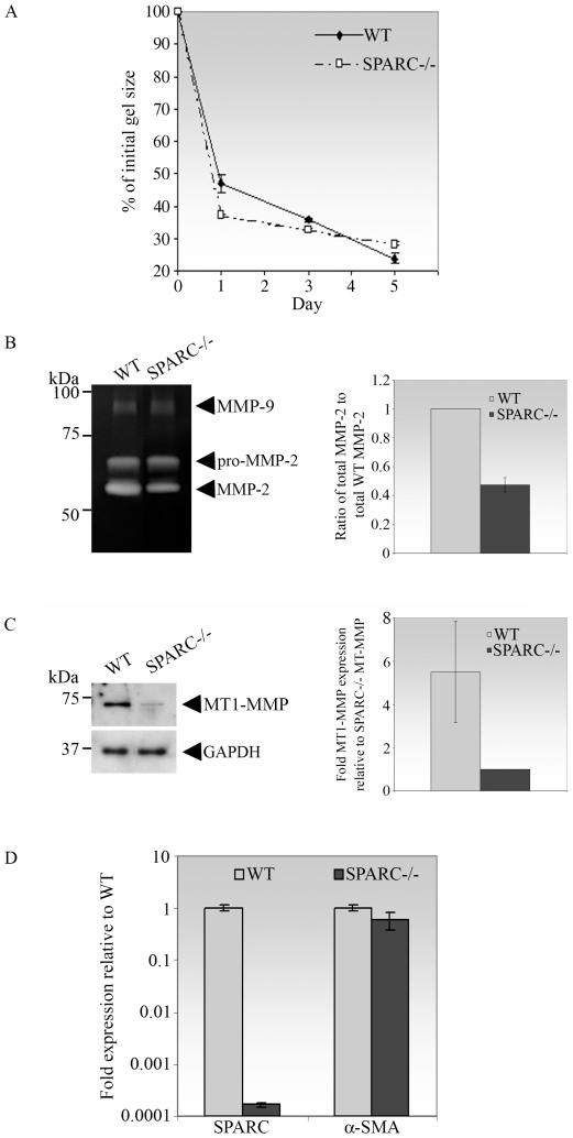 https://cdn.ncbi.nlm.nih.gov/pmc/blobs/0682/2828474/68f14e35eaf6/pone.0009415.g002.jpg