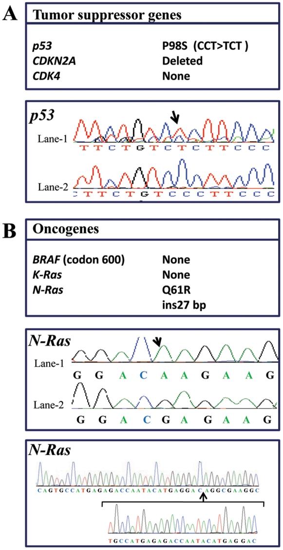 https://cdn.ncbi.nlm.nih.gov/pmc/blobs/0683/2852400/9142750549e5/pone.0009992.g001.jpg