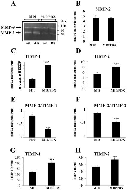 https://cdn.ncbi.nlm.nih.gov/pmc/blobs/0683/2852400/b813f9f2e5ab/pone.0009992.g005.jpg