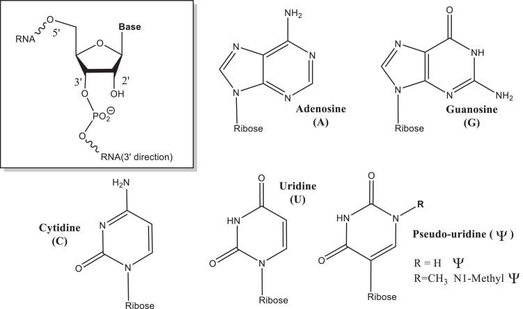 https://cdn.ncbi.nlm.nih.gov/pmc/blobs/0683/9637289/c30bb73af761/gr1_lrg.jpg