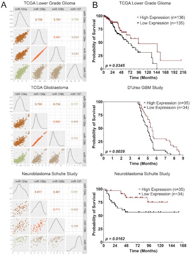 https://cdn.ncbi.nlm.nih.gov/pmc/blobs/0684/7831004/a955ab9ea995/cancers-13-00289-g002.jpg